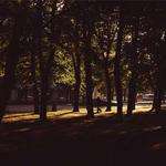 Rigoberto VonRueden Profile Picture