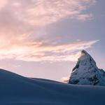 Trace Bahringer Profile Picture