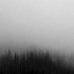 Chaya Lesch Profile Picture